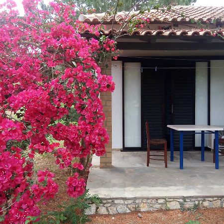 Hotel Dougas Arkoudi Ngoại thất bức ảnh