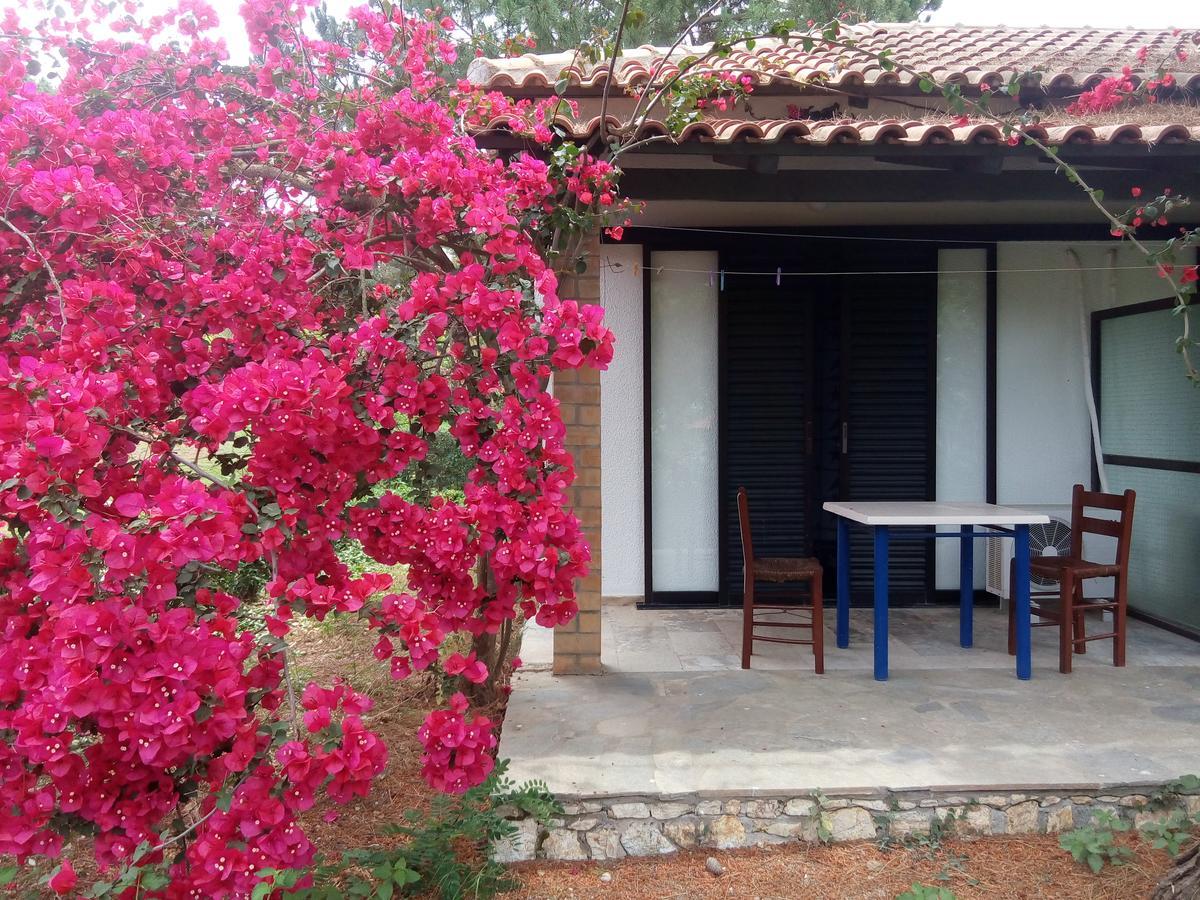 Hotel Dougas Arkoudi Ngoại thất bức ảnh