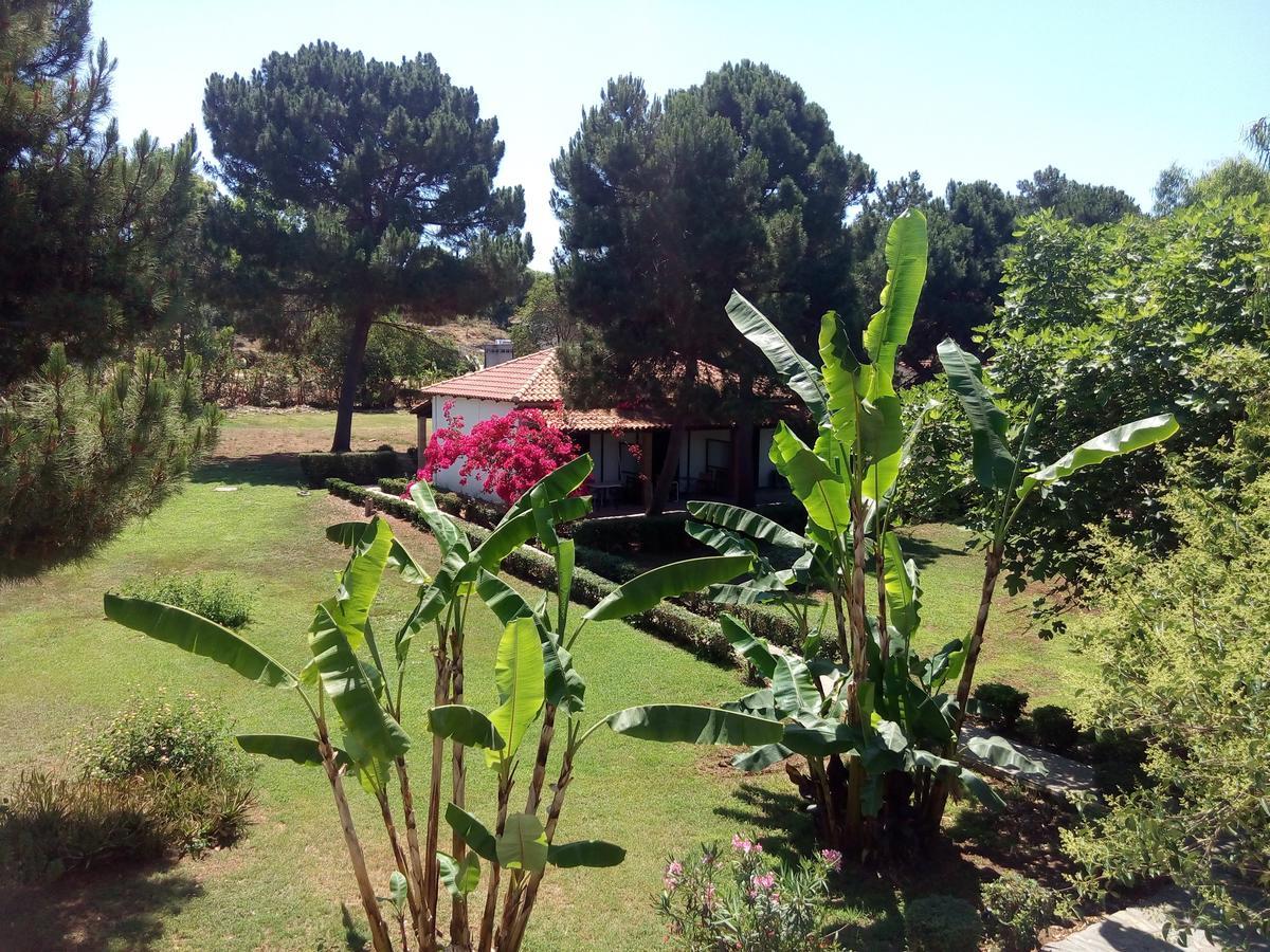 Hotel Dougas Arkoudi Ngoại thất bức ảnh